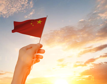 夏威夷果種植基地