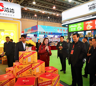 洽洽小黃袋每日?qǐng)?jiān)果亮相中國(guó)安徽農(nóng)產(chǎn)品產(chǎn)銷(xiāo)對(duì)接會(huì)